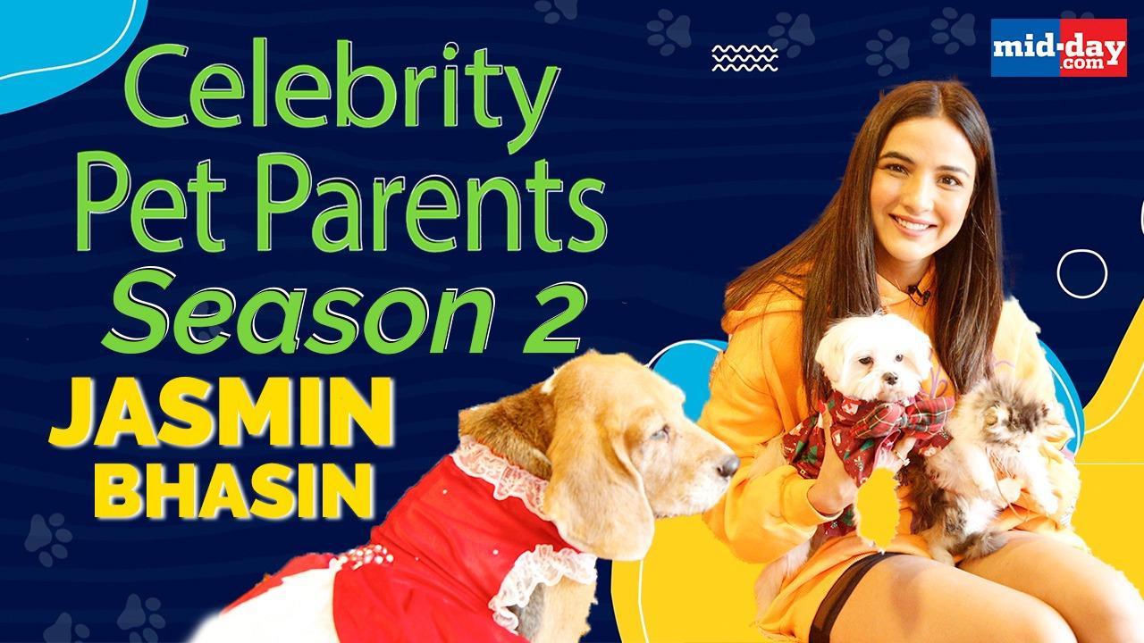Jasmin Bhasin introduces Mia, Rambo and Kylie | Celebrity Pet Parents